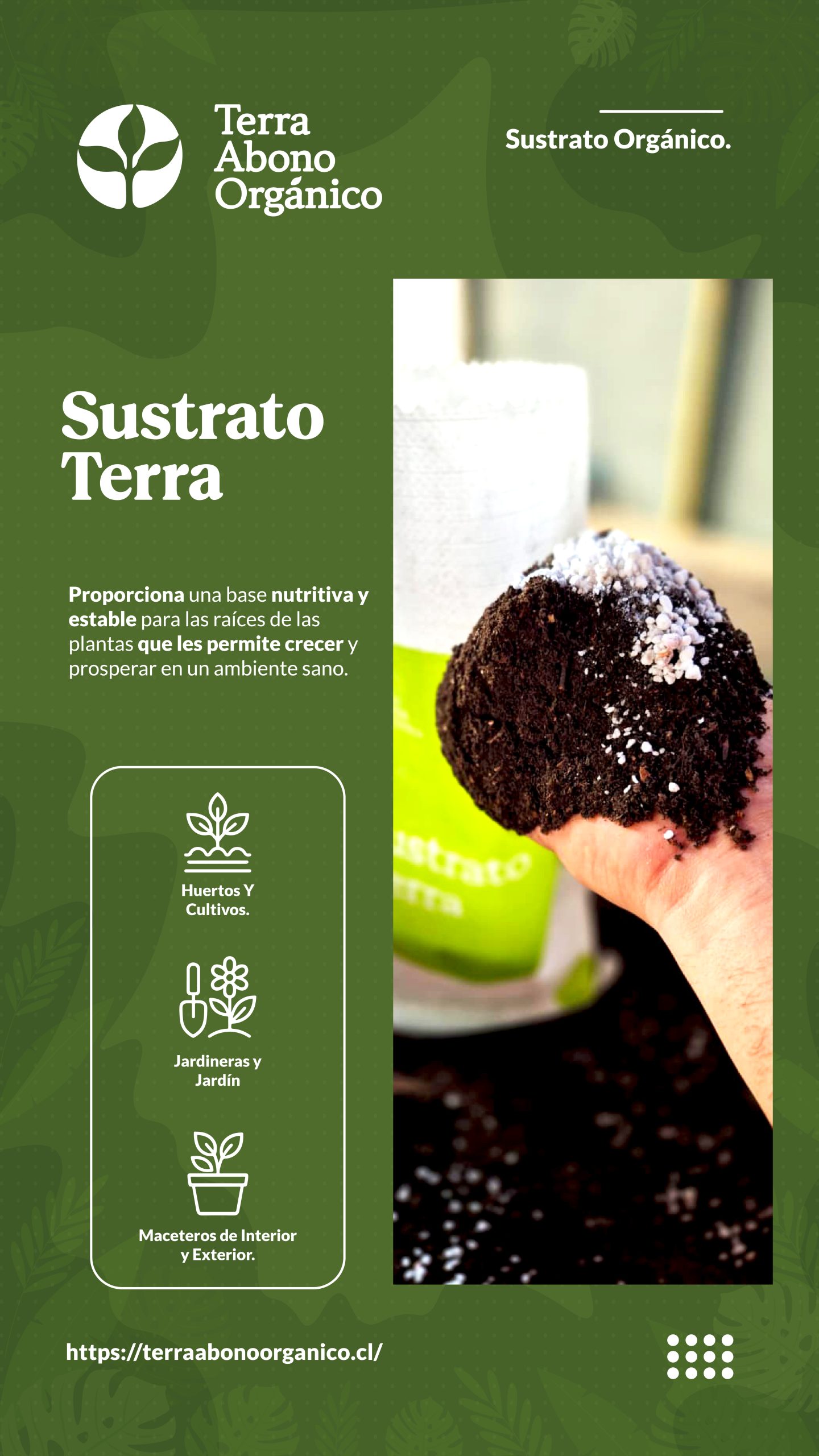 Sustrato Terra Premium - Imagen 3