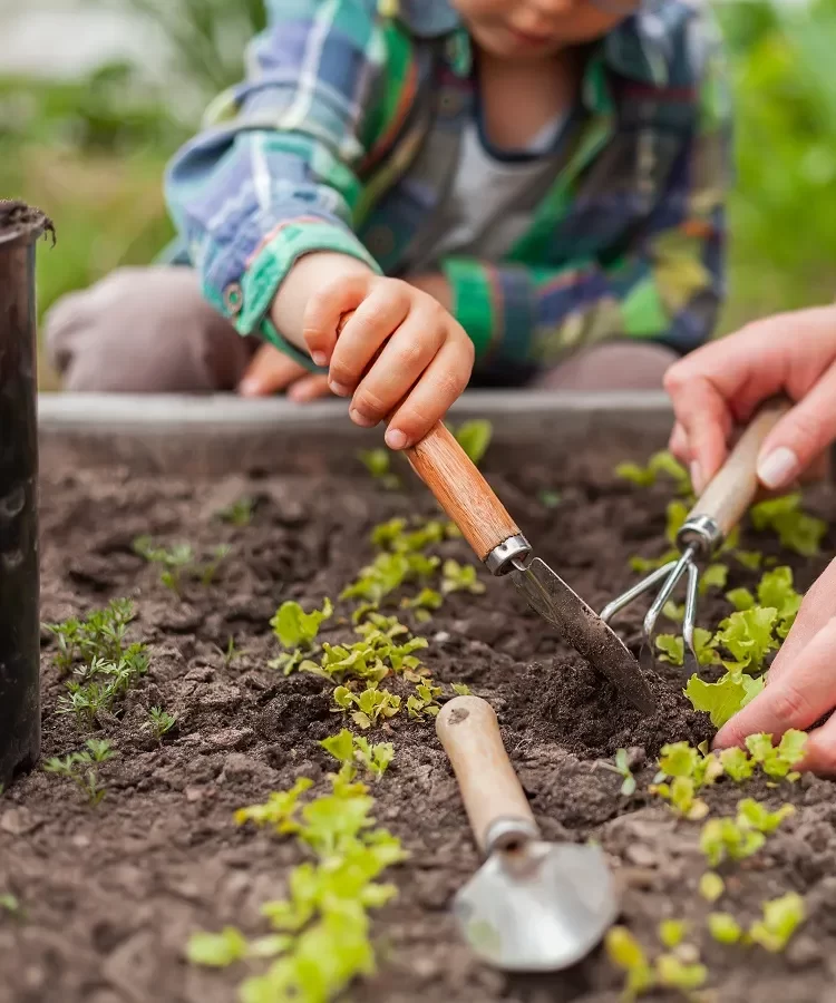 18A29690-6A00-43F7-A66D-7E677C6D8EC2