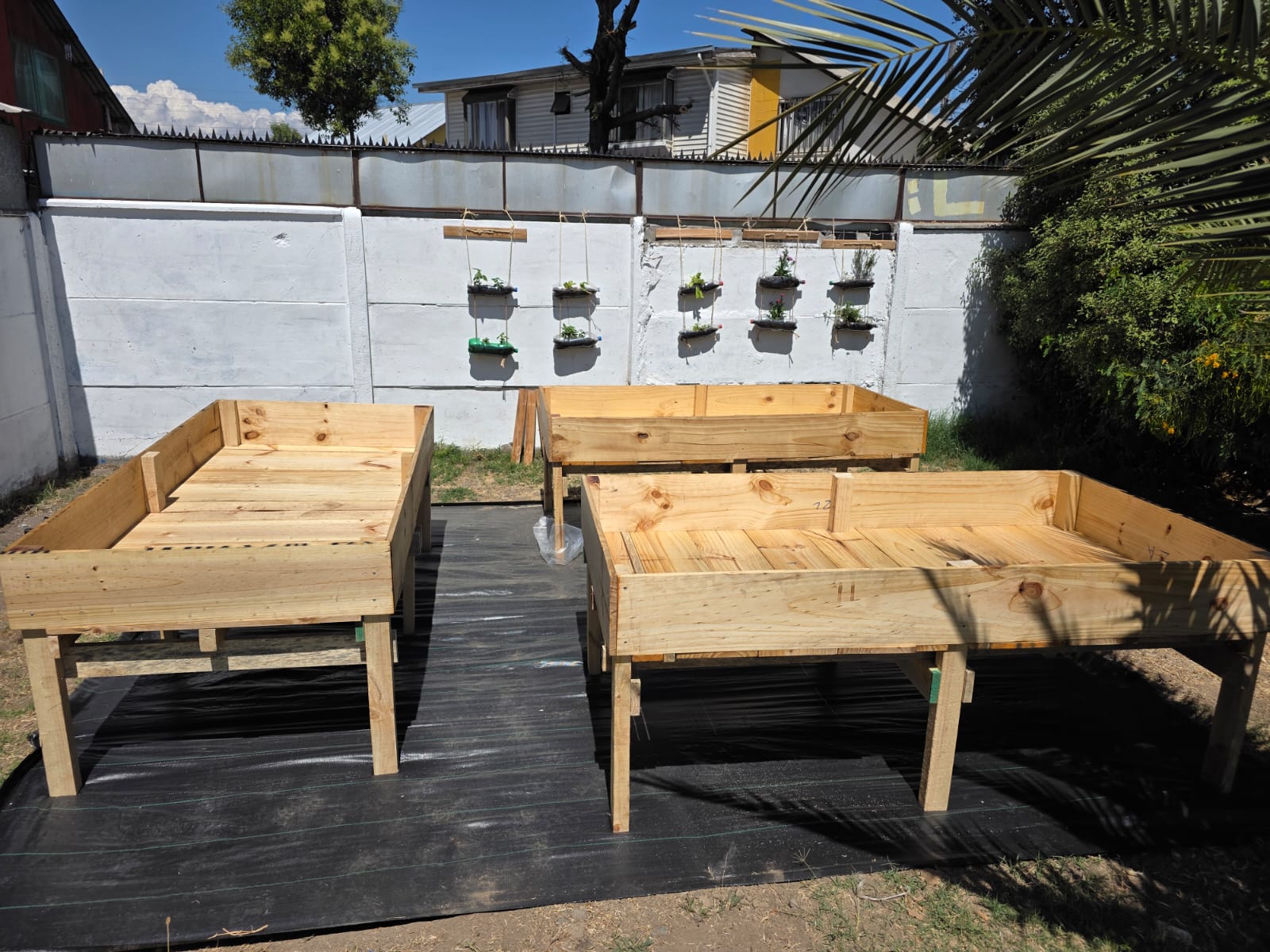 Cama de Cultivo - Imagen 2