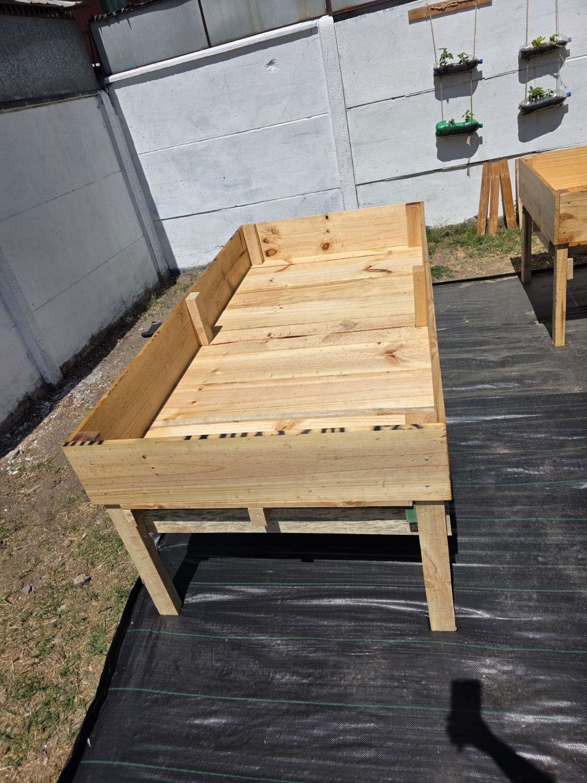 Cama de Cultivo - Imagen 5