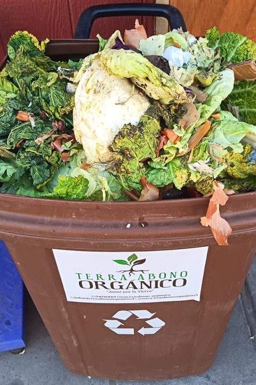 WhatsApp Image 2026-01-12 at 3.55.18 PM