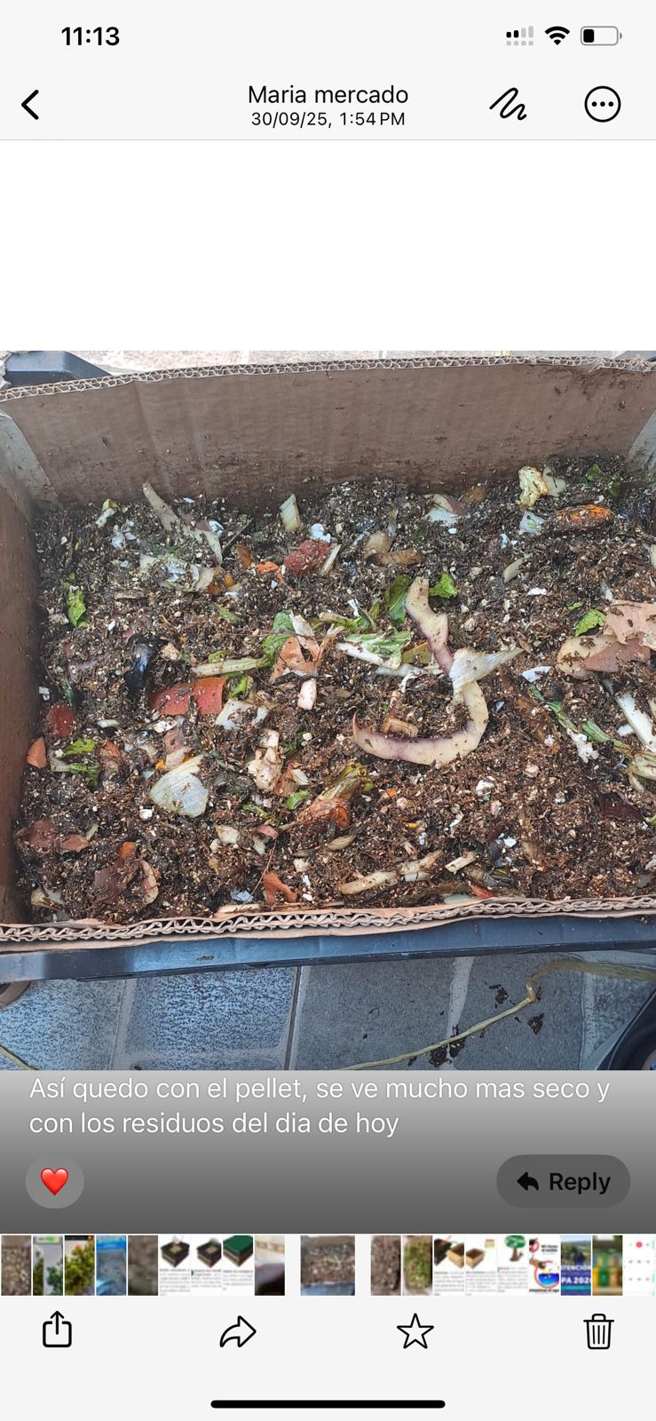 Taller de compostaje y biofertilizantes - Imagen 7