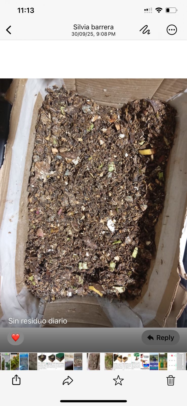 Taller de compostaje y biofertilizantes - Imagen 15