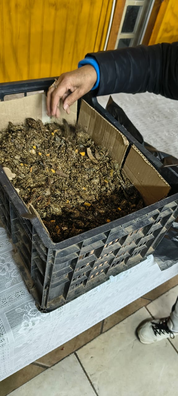 Taller de compostaje y biofertilizantes - Imagen 11